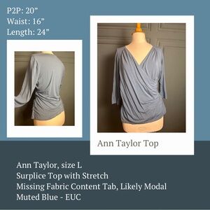 Ann Taylor Surplice Ruched Top